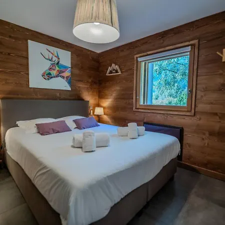 Vieil Ours Douillet 11pax Familial Vue Chamonix