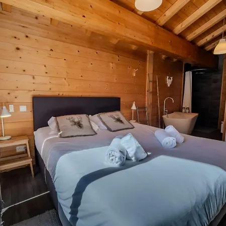 Vieil Ours Douillet 11pax Familial Vue * Chamonix