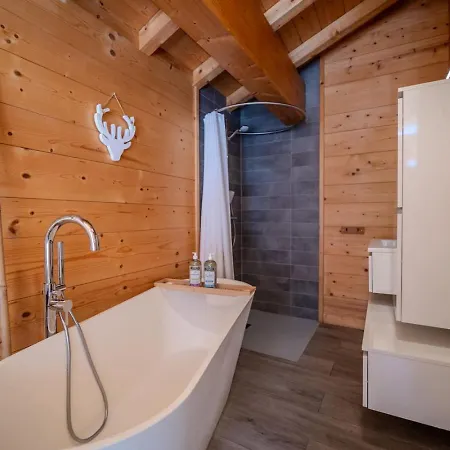 Vieil Ours Douillet 11pax Familial Vue Chalet Chamonix