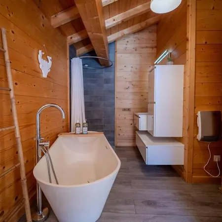Vieil Ours Douillet 11pax Familial Vue Chalet