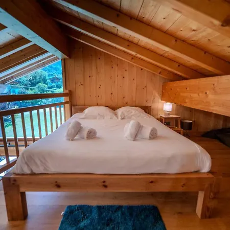 Vieil Ours Douillet 11pax Familial Vue Chalet *