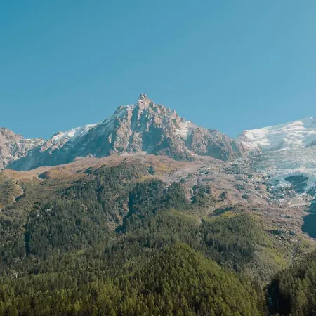 Vieil Ours Douillet 11pax Familial Vue Chamonix